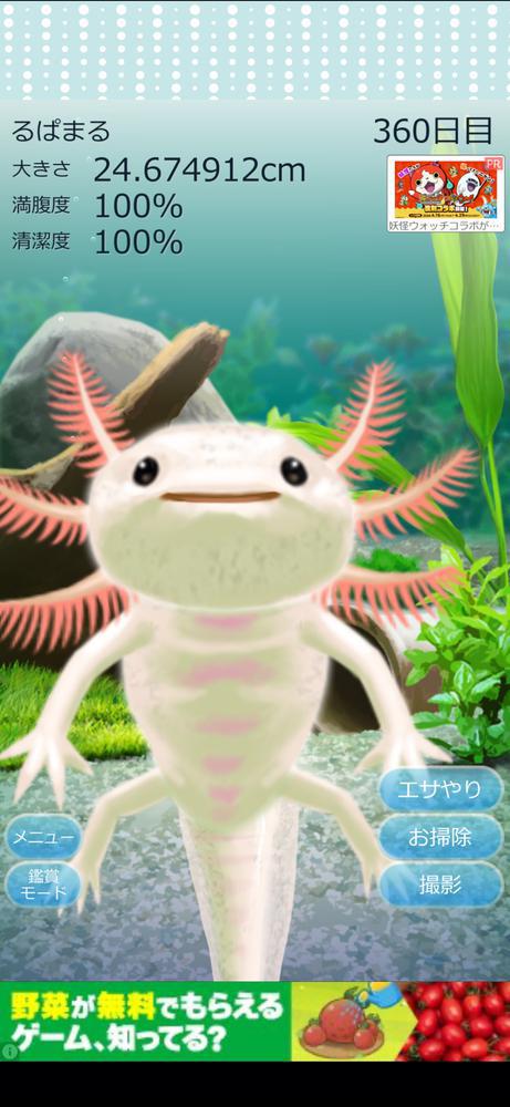 🐟