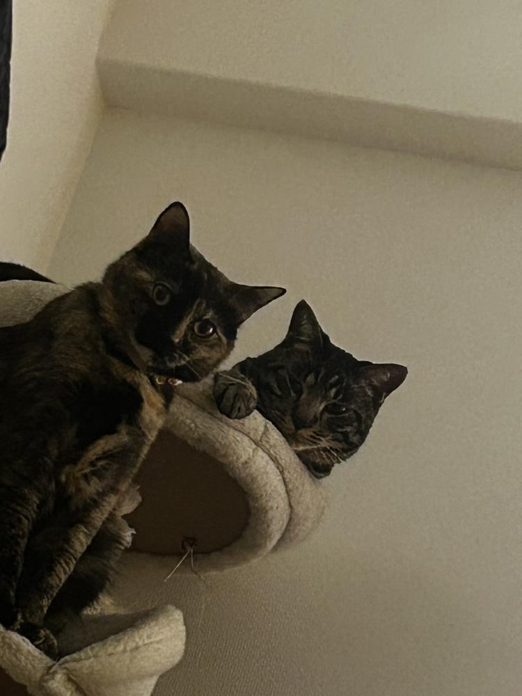 おやすみ(-_-)zzz