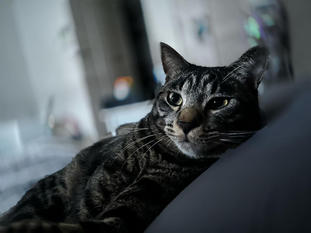 店休日です🙆‍♀️