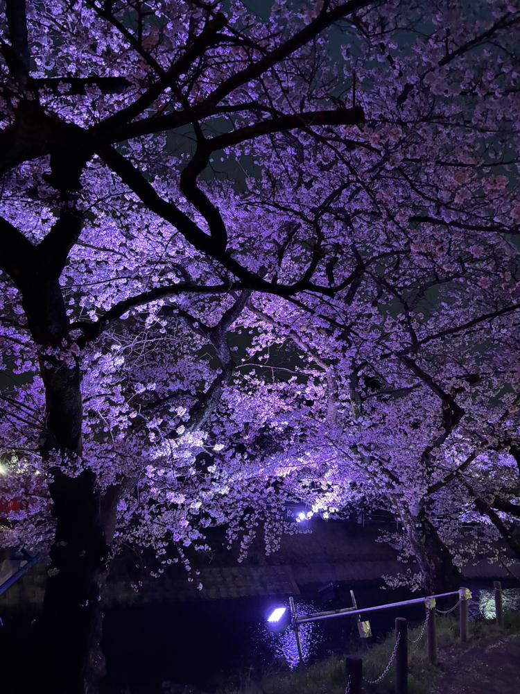 お疲れ様です♣️！