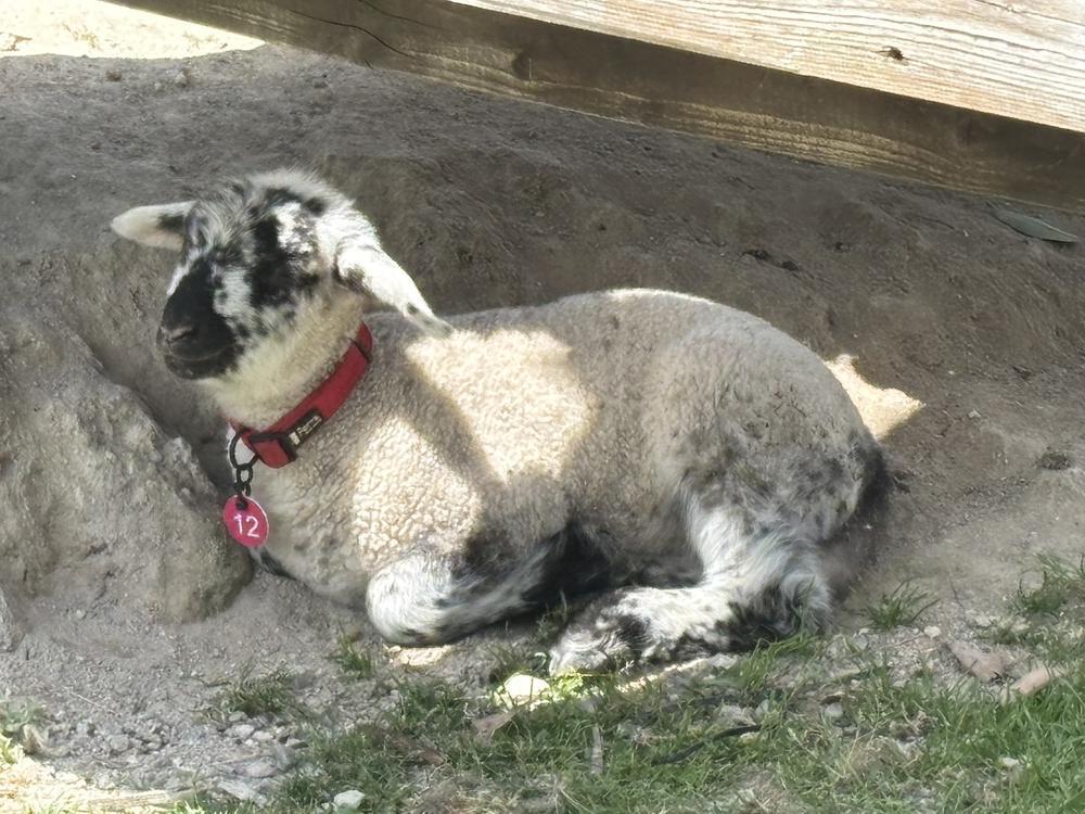 お疲れ様です🐮！