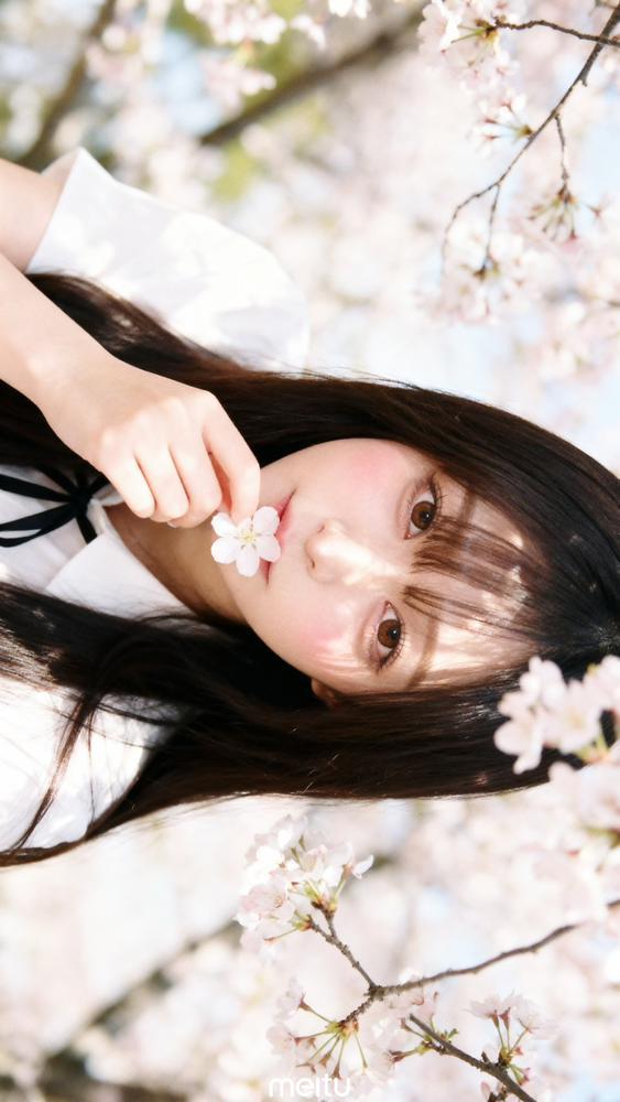 お花見したいなぁ