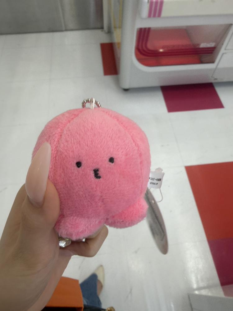 たこぴーとりました！