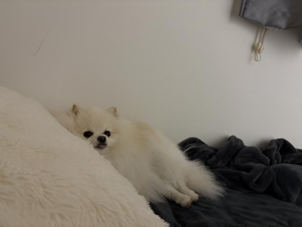 こんにちは