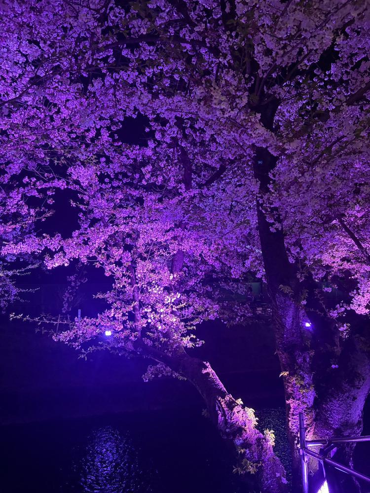 出勤🌸
