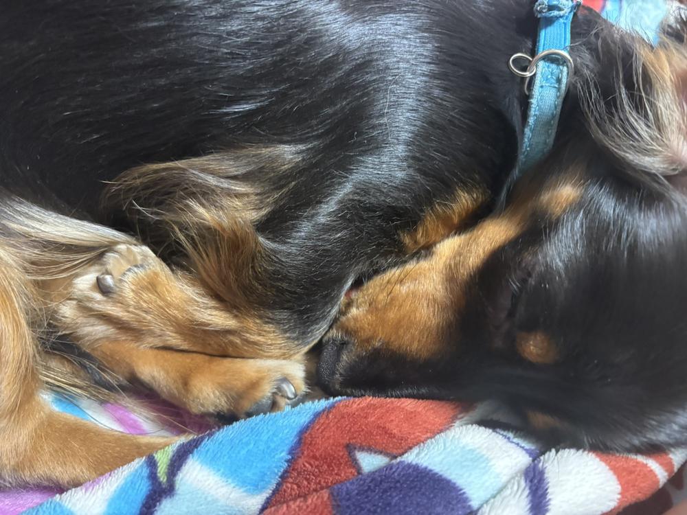 ( ˶˙ᵕ˙˶ )☀️