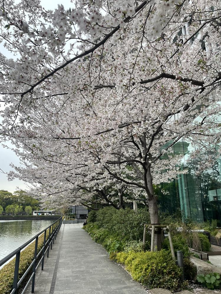 他にもいろいろ