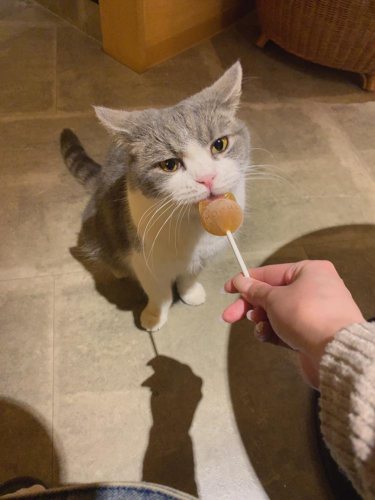 21時頃から出勤です💪