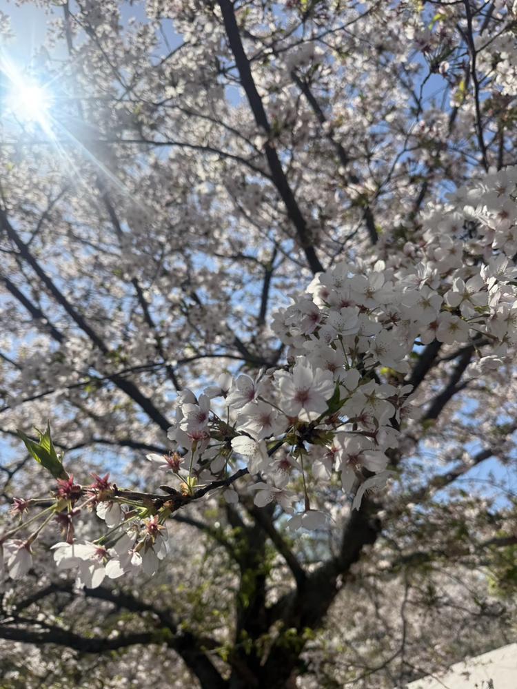 今週ラスト〜♡