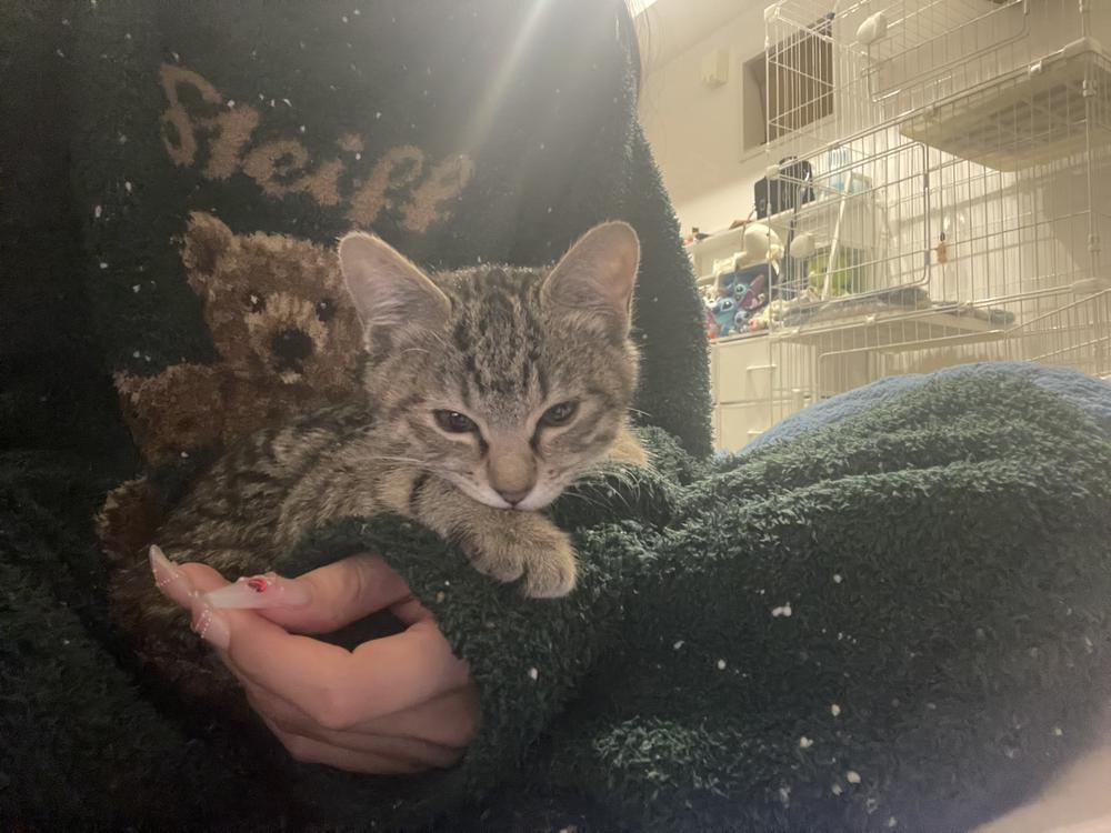 4/28火曜は営業です！