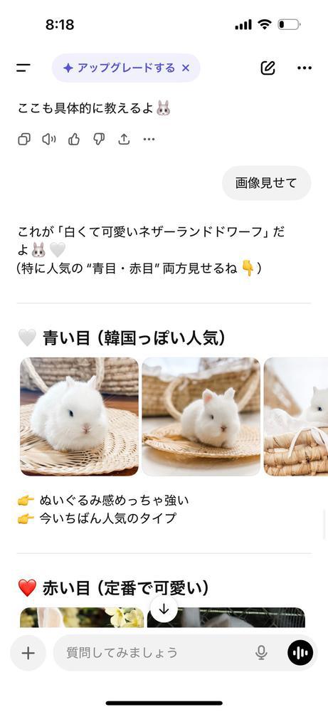 うさぎ飼おうかなーーー🐰
