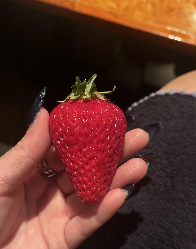 🍓