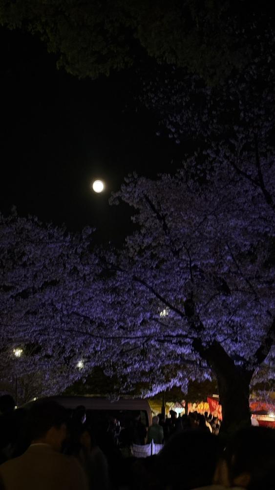 ピンクムーンだったらしい🩷