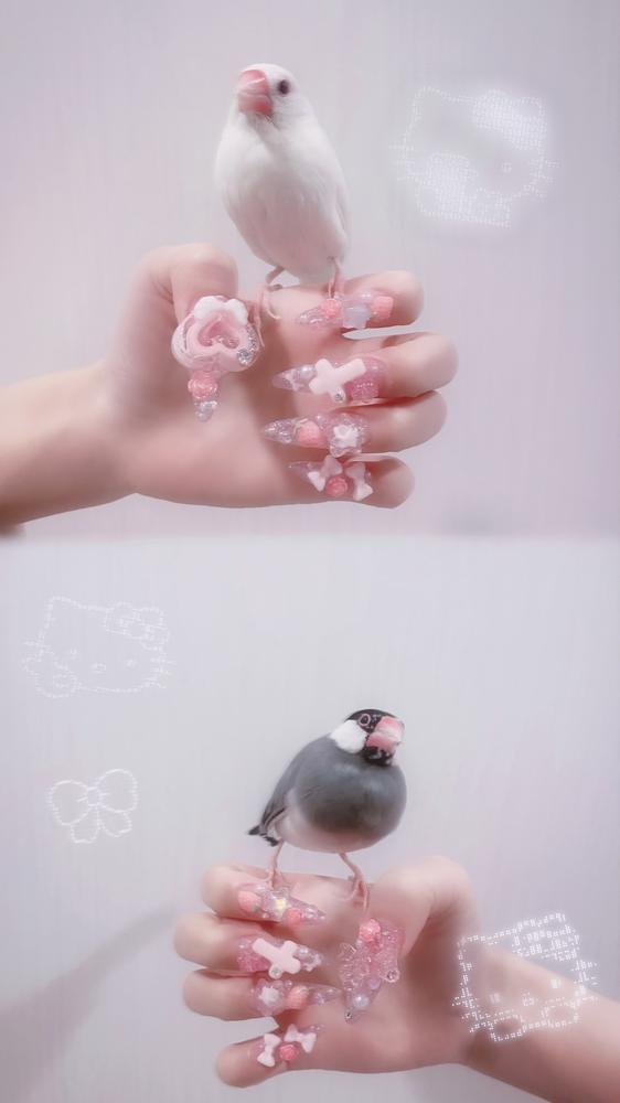 *⋆⸜𝐧𝐞𝐰⸝⋆*