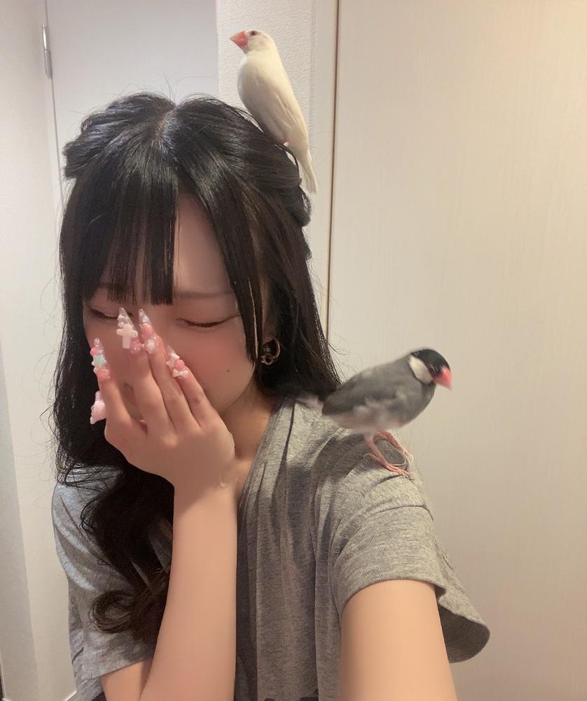 なにこれ！！！