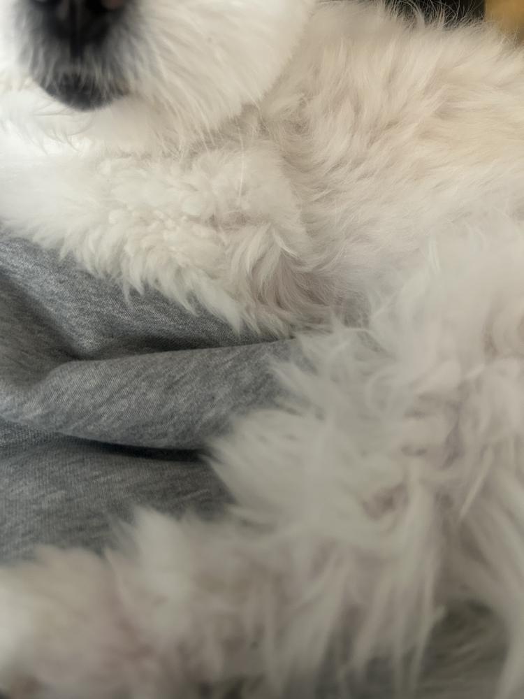 おはよー