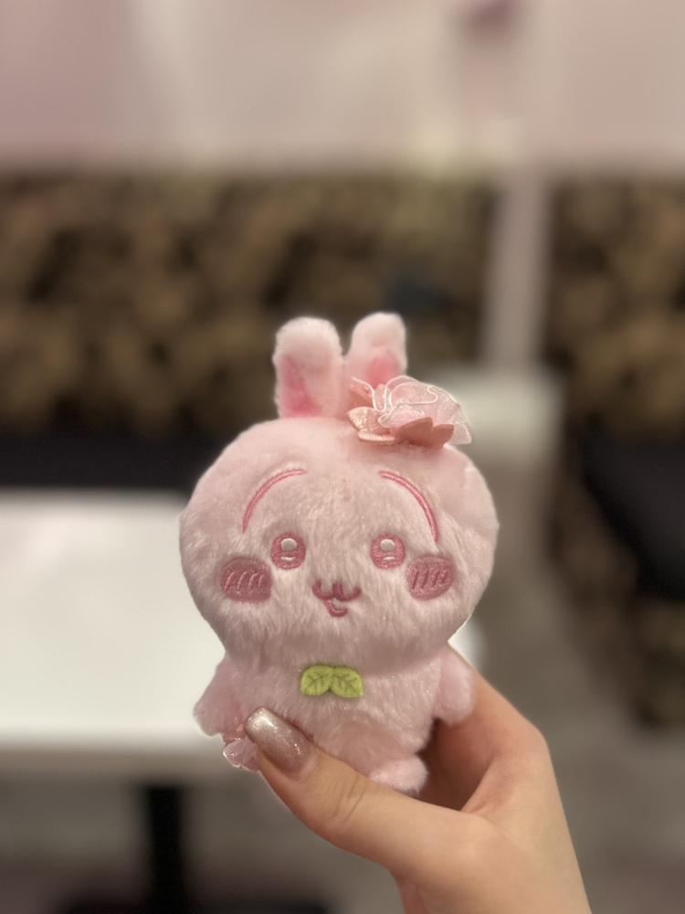 うさぎ🐰
