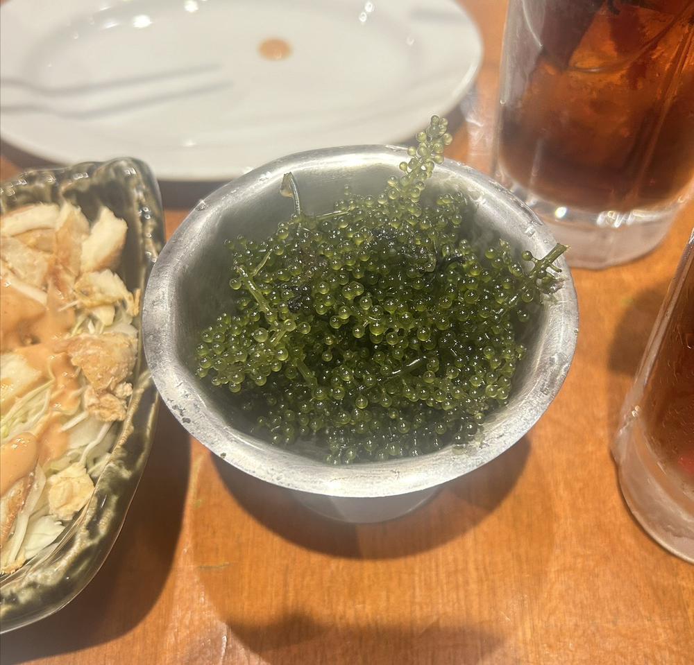 うみぶどう🌊🍇