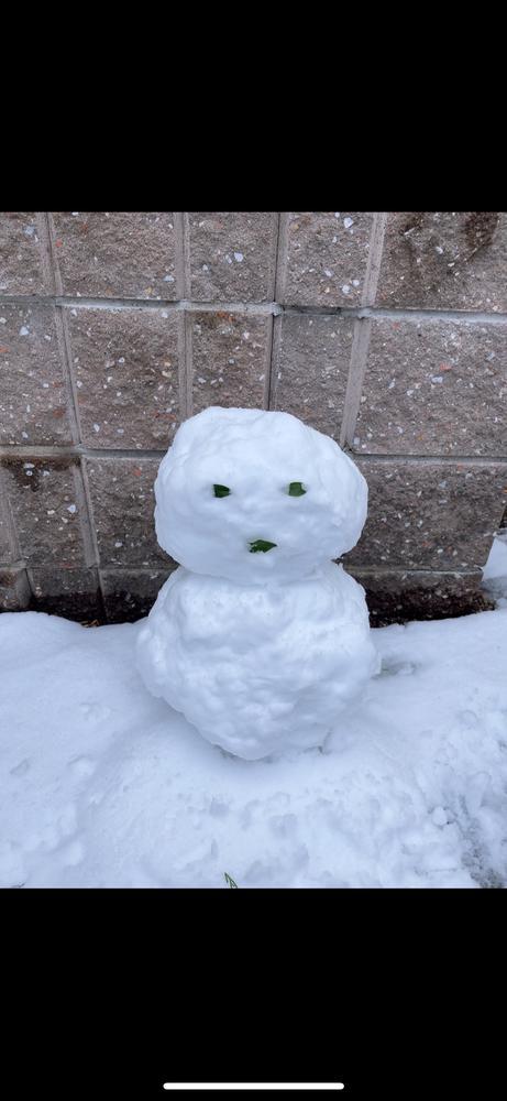 おはよ！ゆきだよ⛄️
