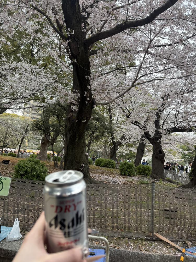 0️⃣4️⃣0️⃣8️⃣💜