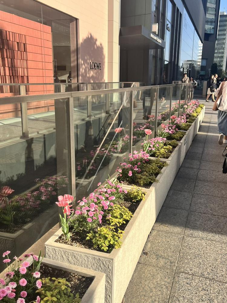 🔥🔥(ง •᷅౪•᷄)ว🔥🔥