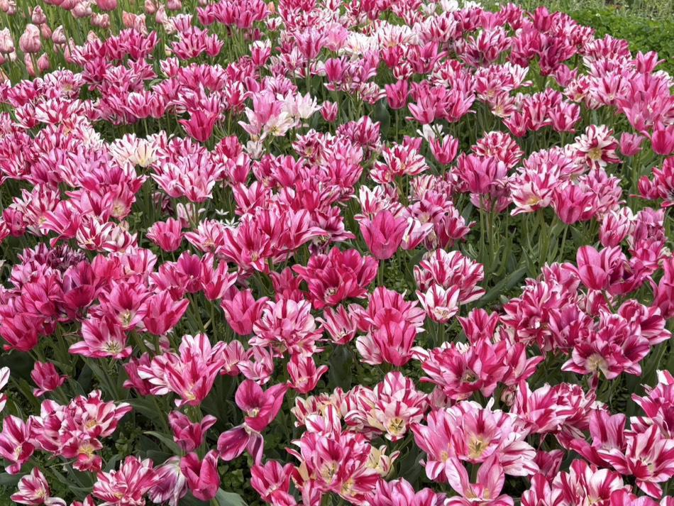 こんばんは‼️