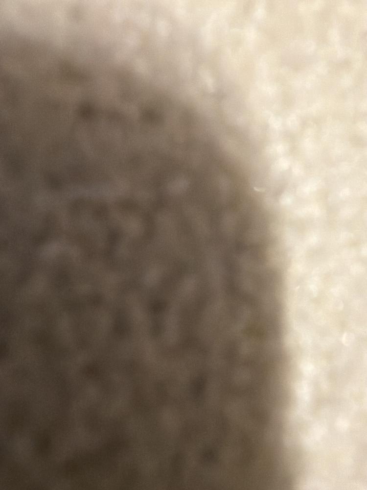画像はラグです
