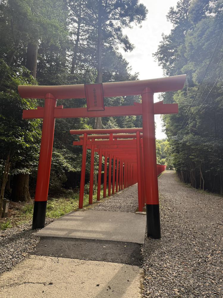 のあです