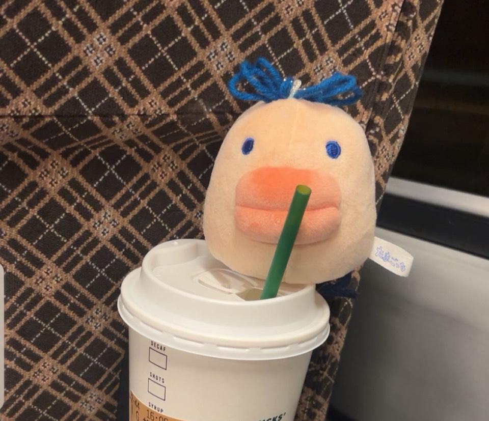 新しい仲間