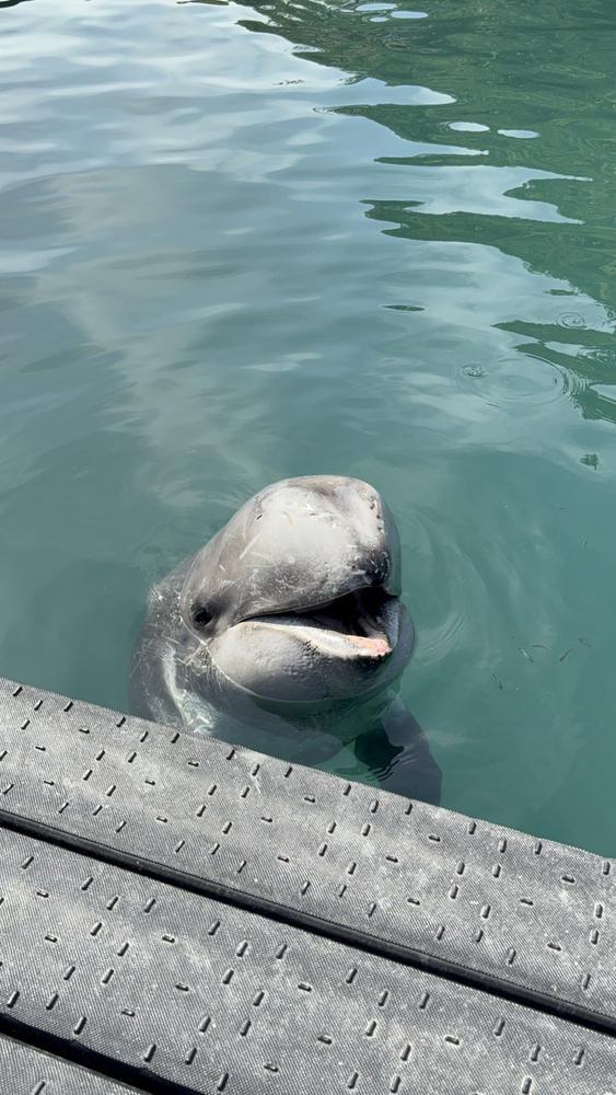 くじら博物館🐳