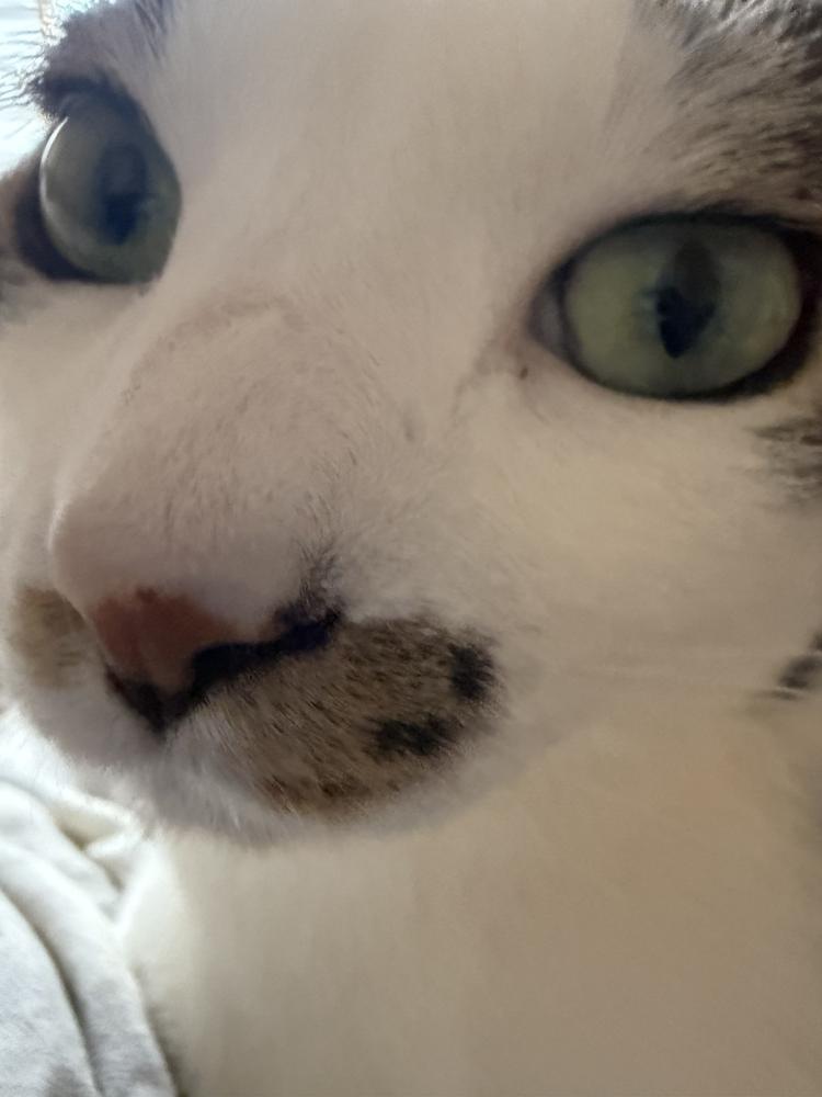 おはよ