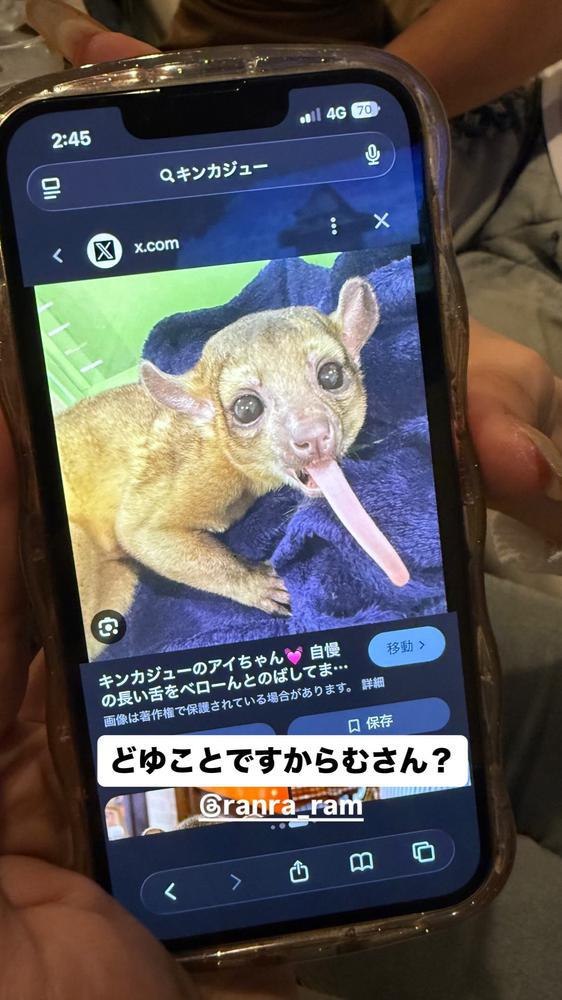 キンカジュー
