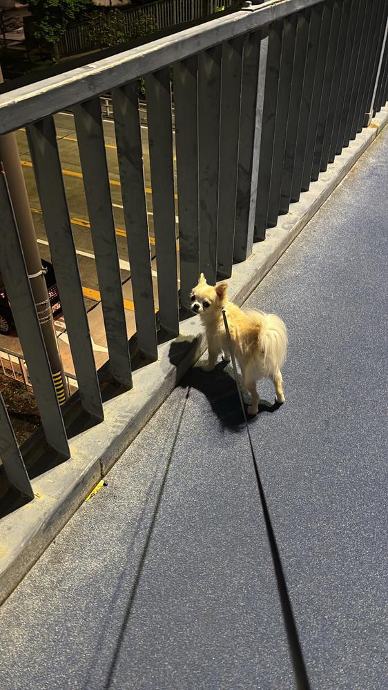 にゃ