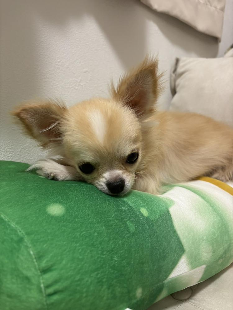 💕