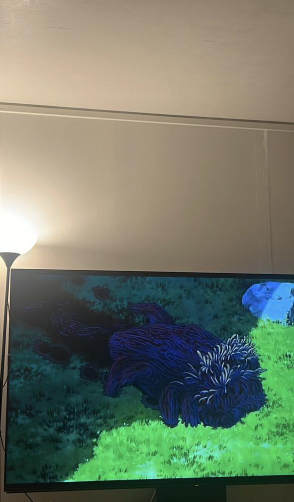 ものののののののけ