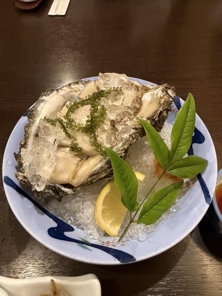 牡蠣🦪🦪🦪🦪