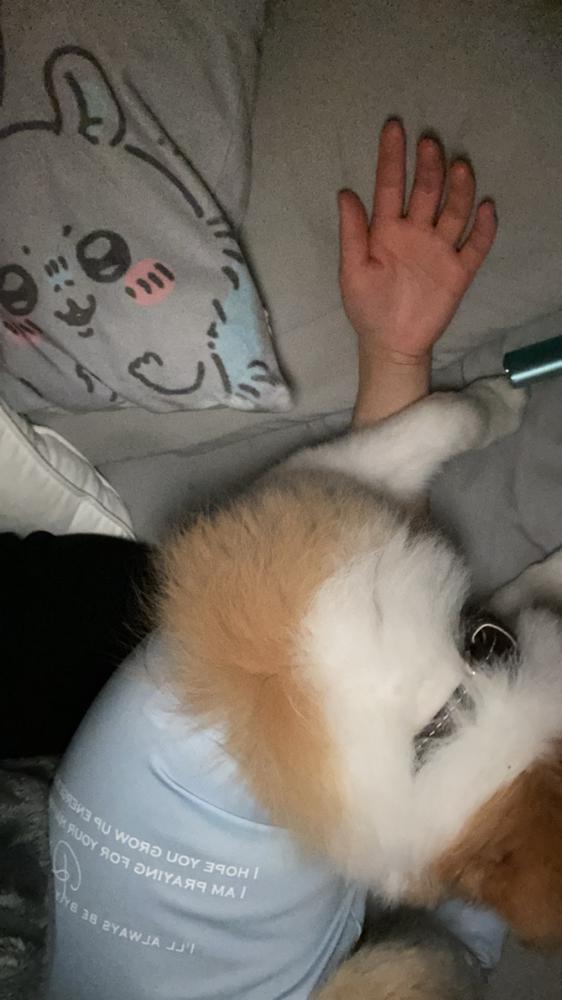 🐶