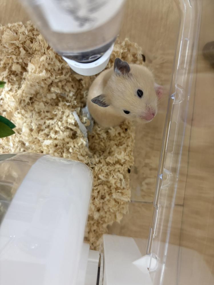 こんばんは!!