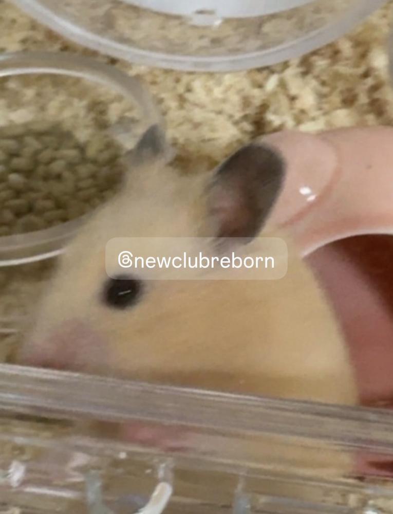 わー！