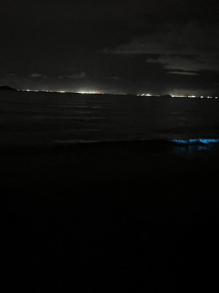 青い海のやつ見てきた！今なんか虫が光ってあおくなるらしいのうみが