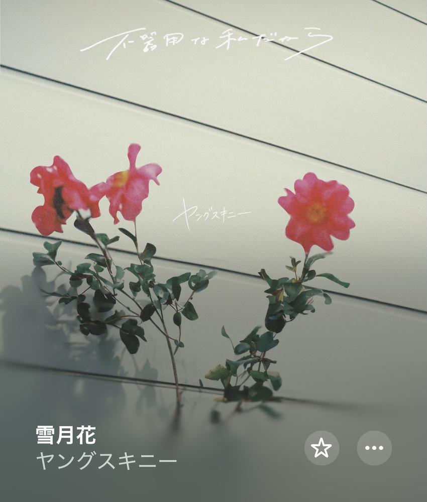 はまってる