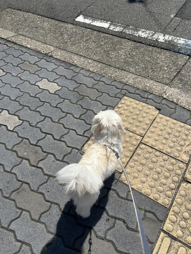 ぽかぽか