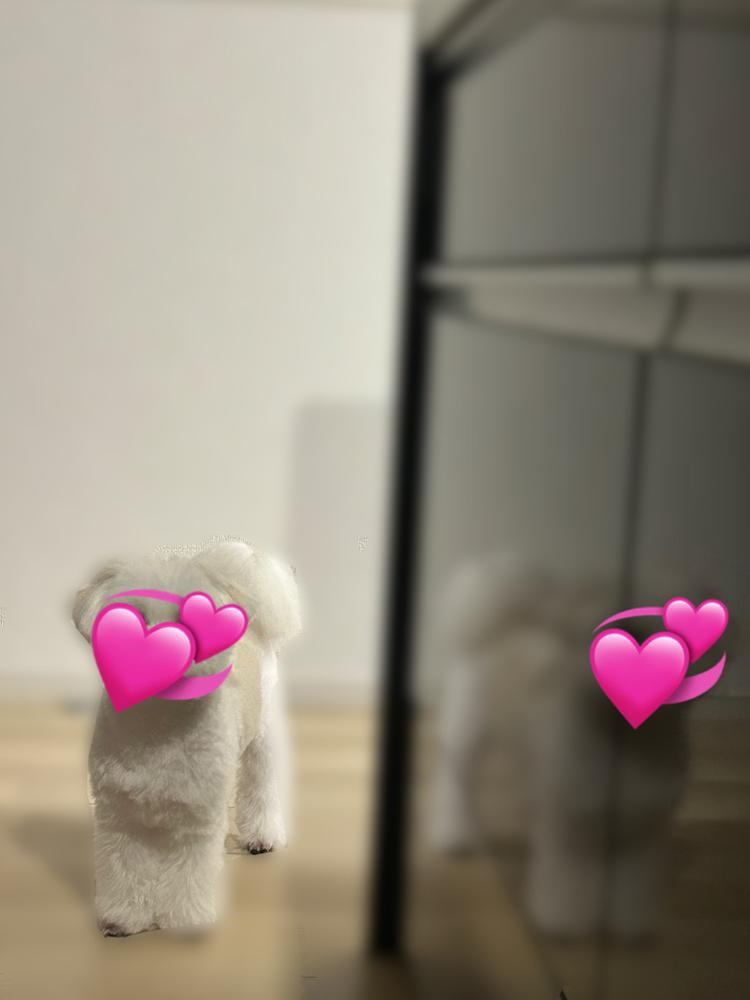 いけめん🥺🩷