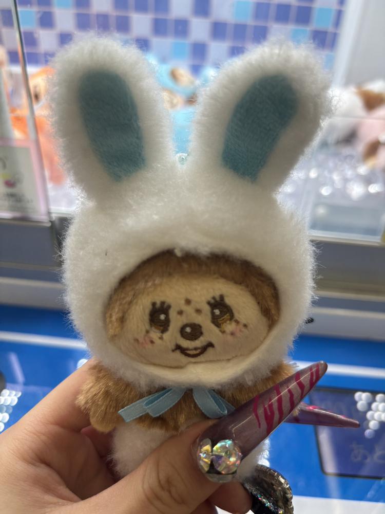 うさぎ