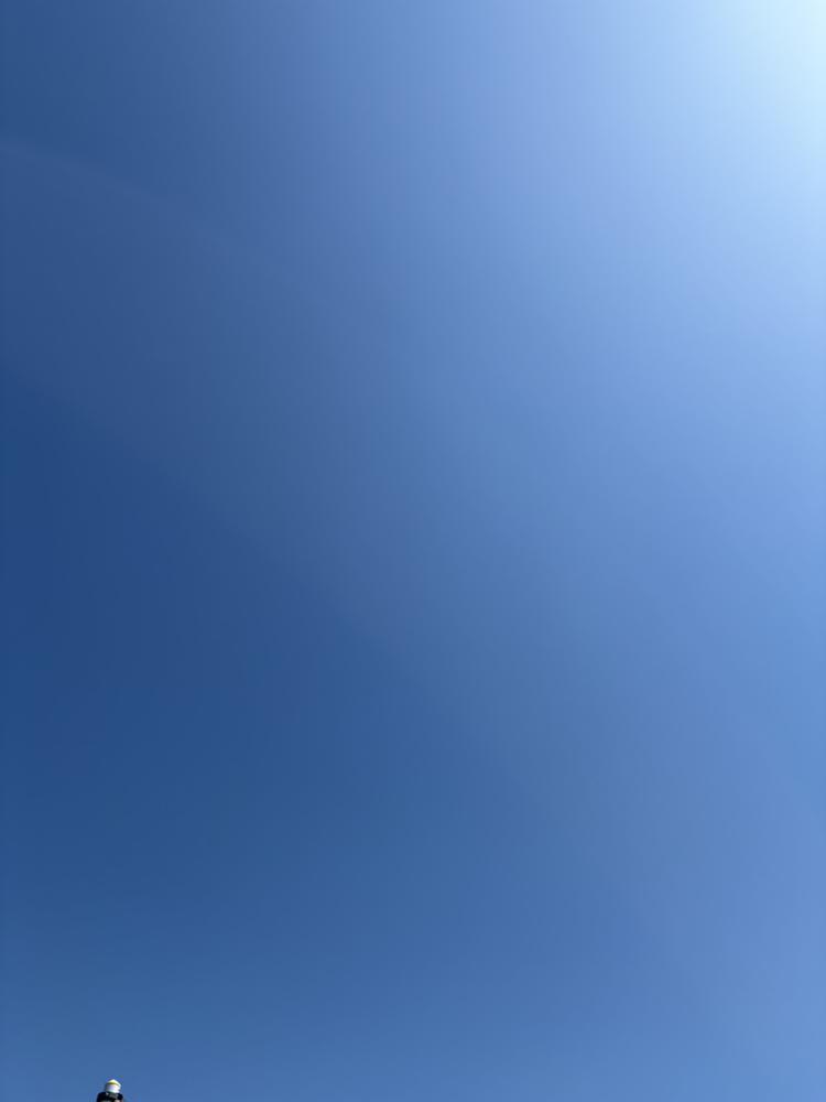 しゅ