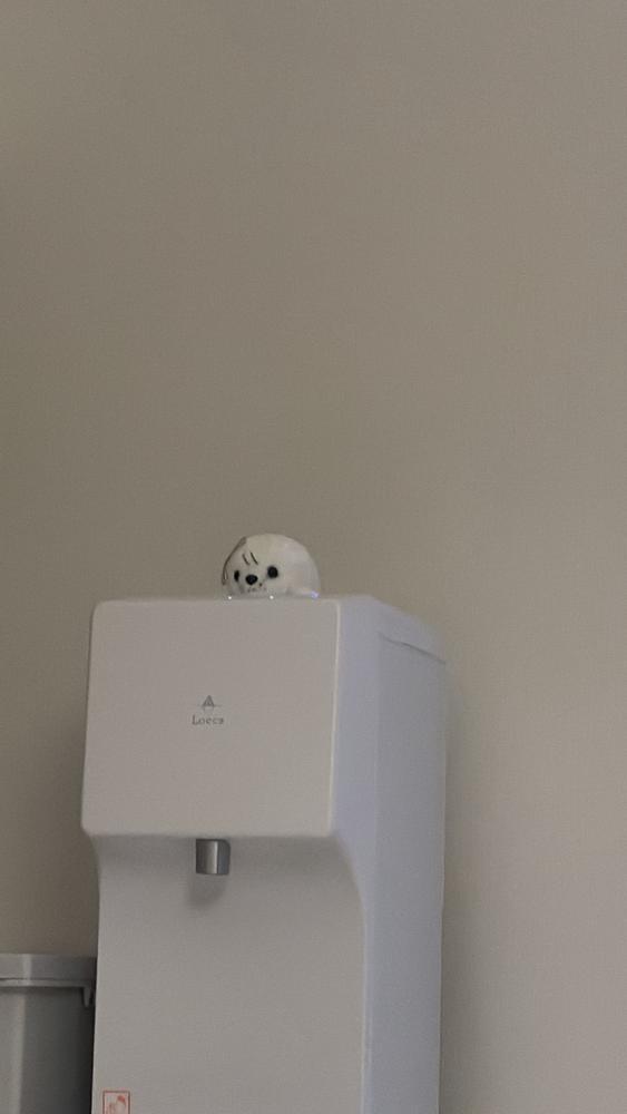 おやすみだっち