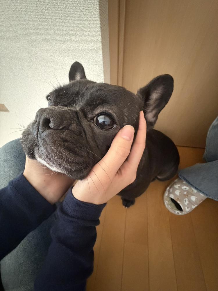 こんばんわ🌙
