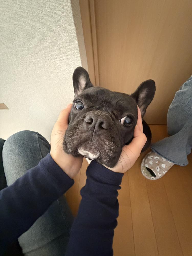 おはようございます😊