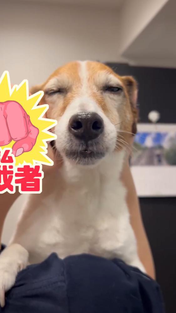 出勤！