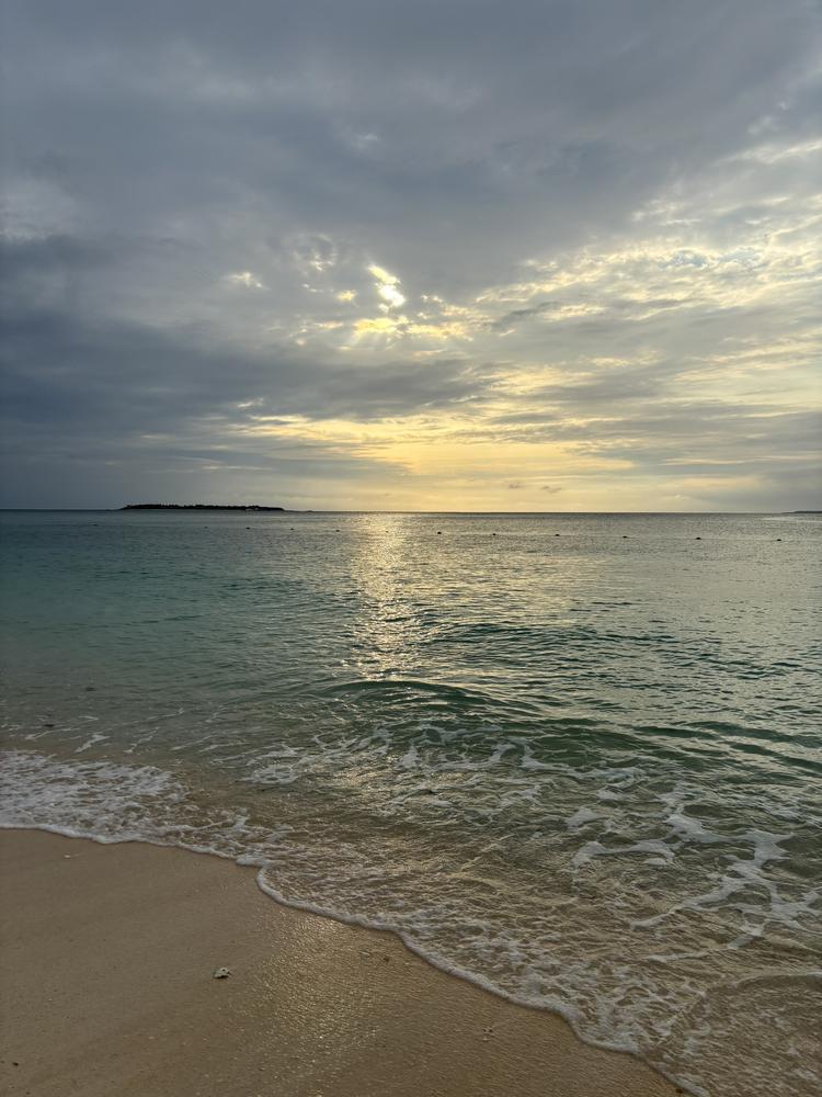 います🏖️